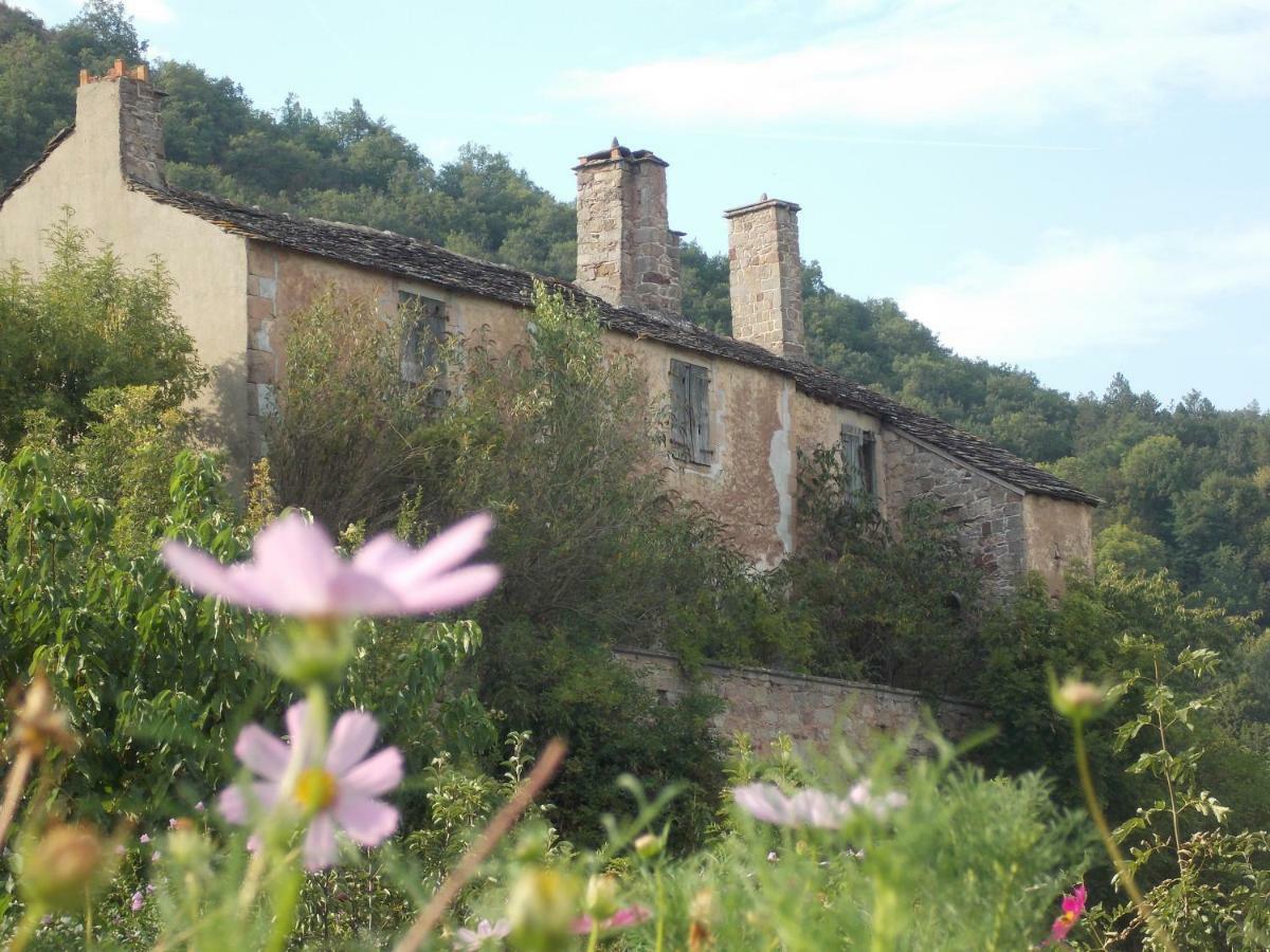 Viala-du-TarnLe Cintrium住宿加早餐旅馆 外观 照片