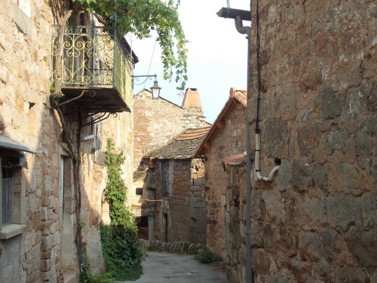 Viala-du-TarnLe Cintrium住宿加早餐旅馆 外观 照片