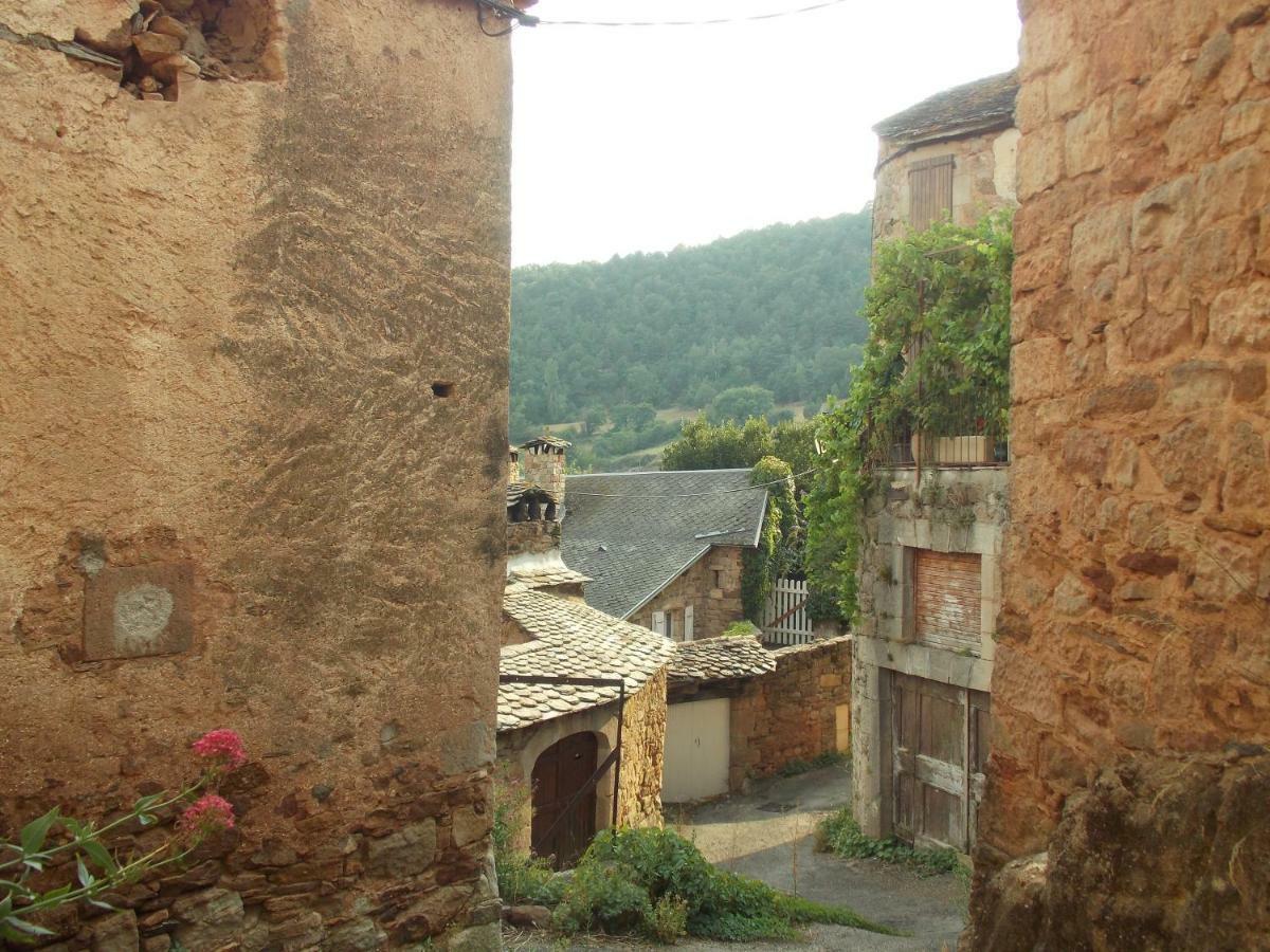 Viala-du-TarnLe Cintrium住宿加早餐旅馆 外观 照片
