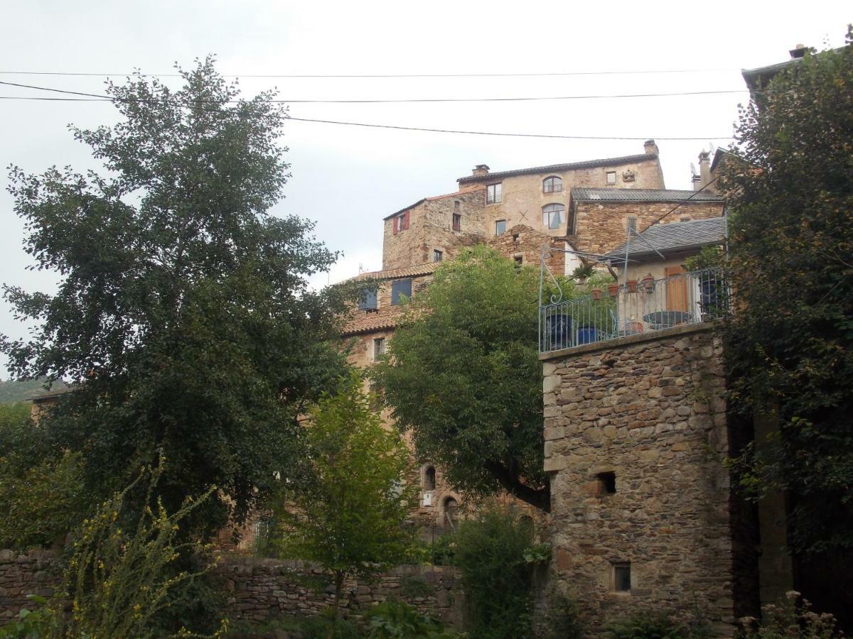 Viala-du-TarnLe Cintrium住宿加早餐旅馆 外观 照片