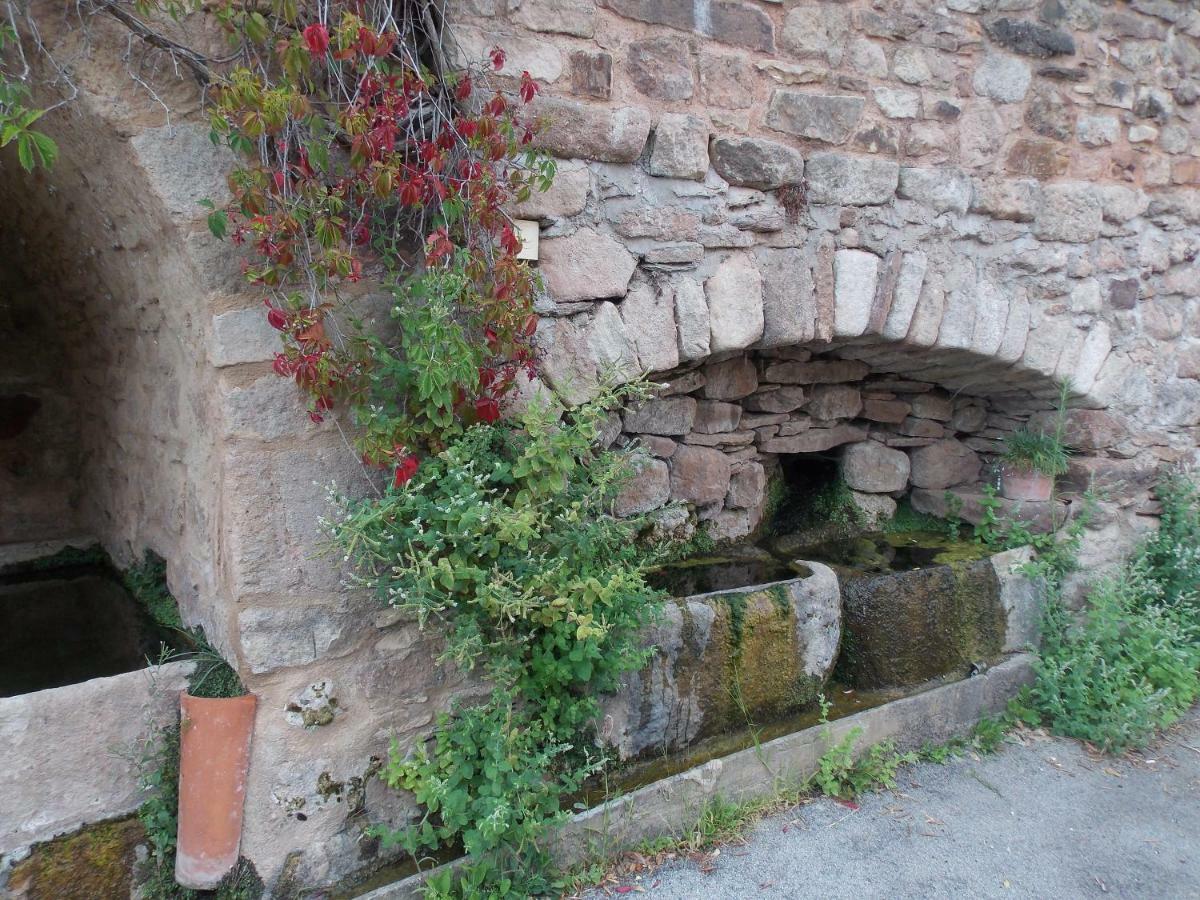 Viala-du-TarnLe Cintrium住宿加早餐旅馆 外观 照片